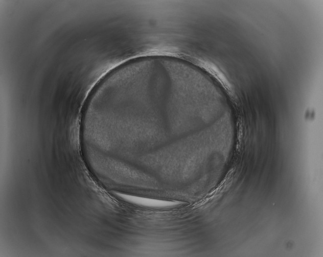 X0000099471268200805301548