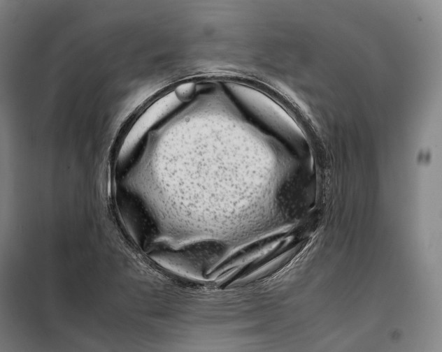 X0000099471269200805301548