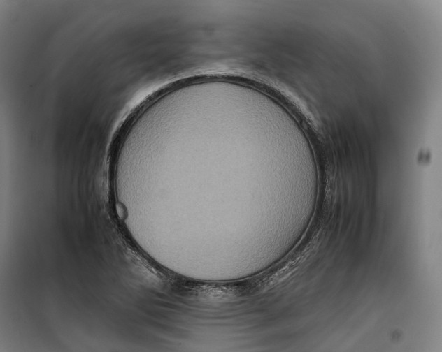 X0000099471270200805301548