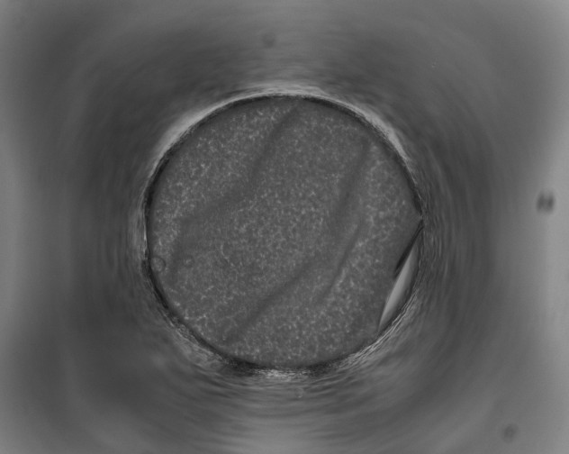 X0000099471271200805301548