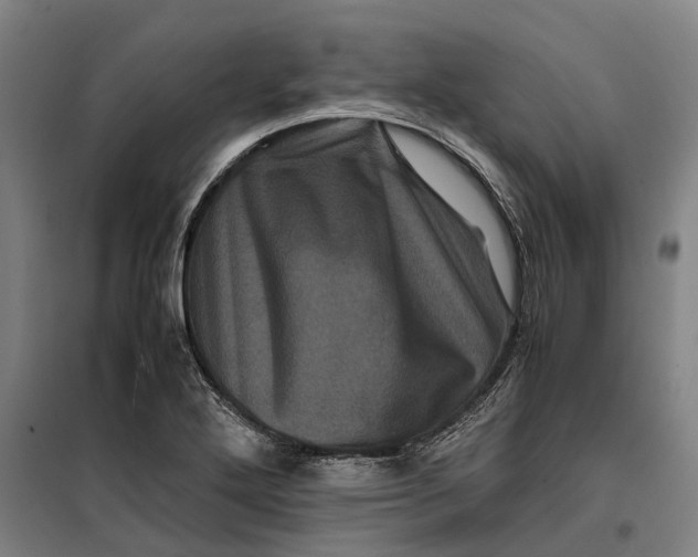 X0000099471272200805301548