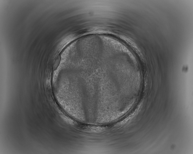 X0000099471273200805301548