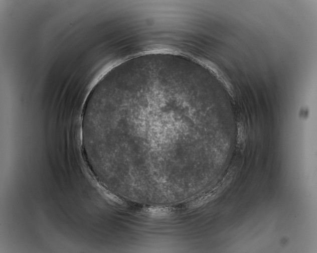 X0000099471274200805301548