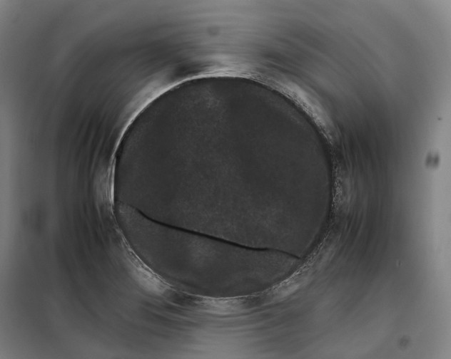 X0000099471276200805301548