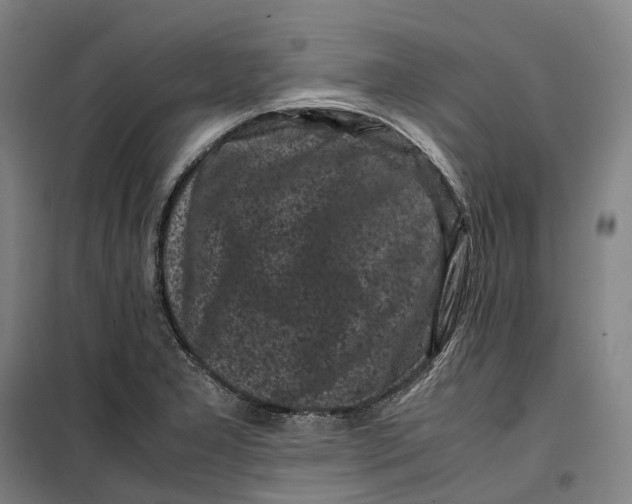 X0000099471277200805301548