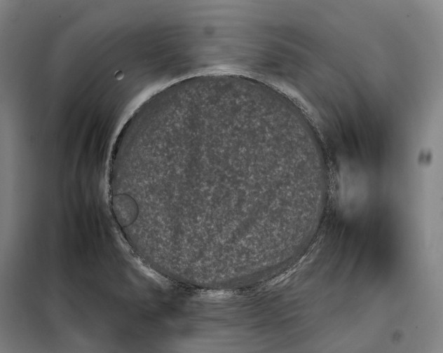 X0000099471278200805301548