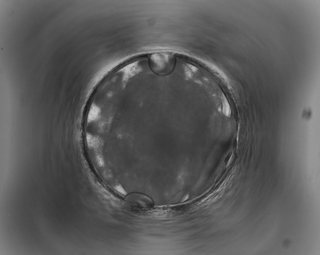 X0000099471279200805301548