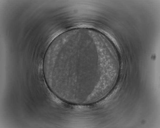 X0000099471281200805301548