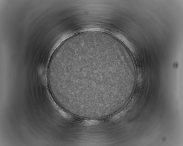 X0000099471282200805301548