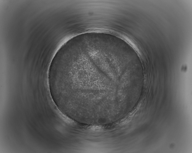 X0000099471283200805301548