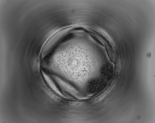 X0000099471284200805301548