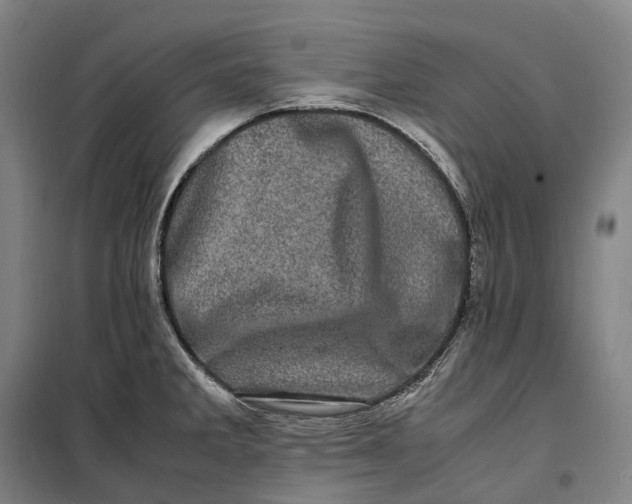 X0000099471285200805301548