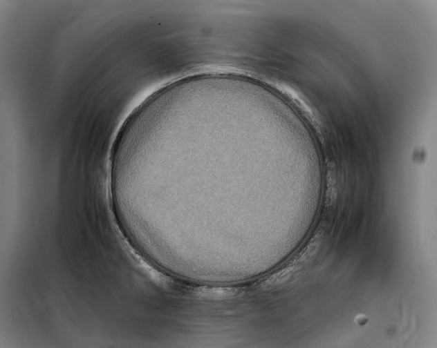 X0000099471286200805301548