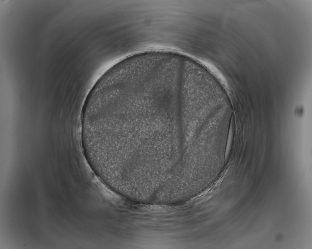 X0000099471287200805301548