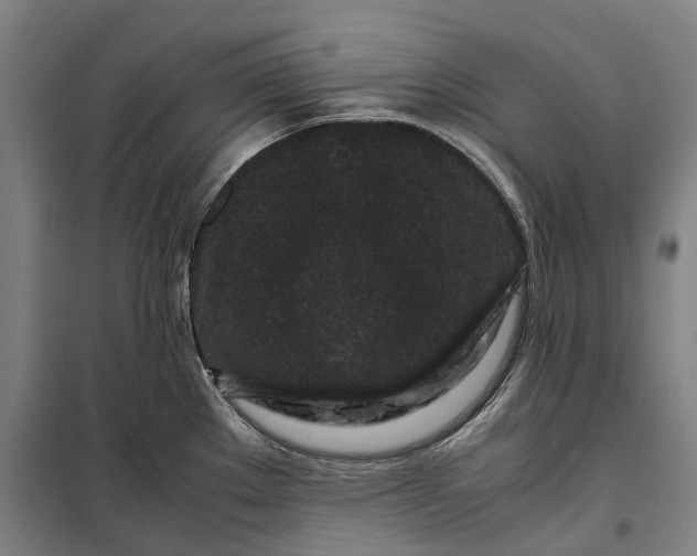 X0000099471289200805301548