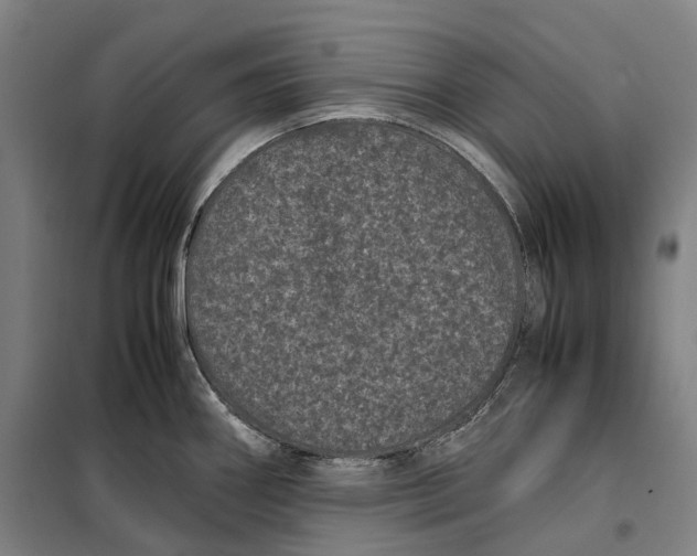 X0000099471290200805301548