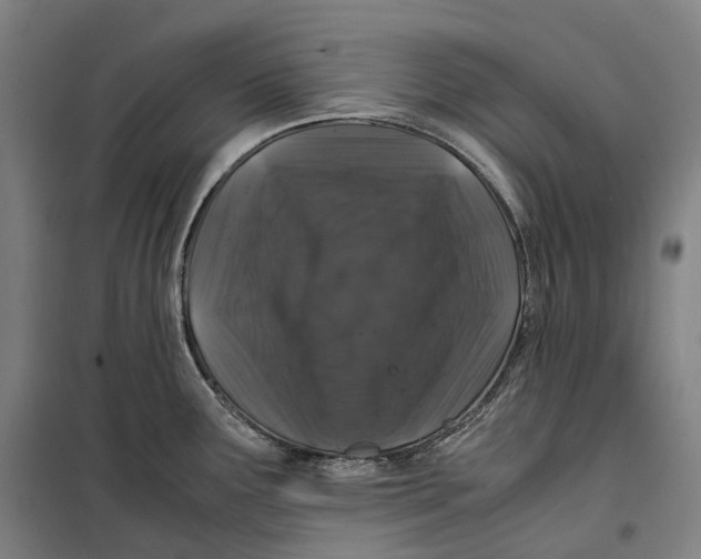 X0000099471291200805301548