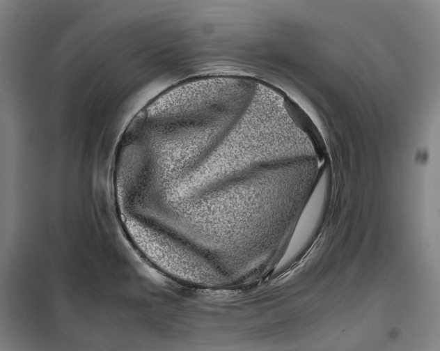 X0000099471293200805301548