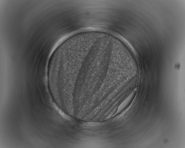 X0000099471294200805301548