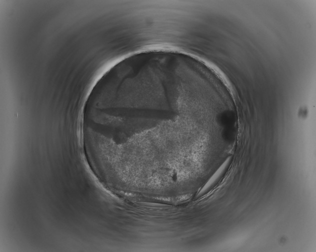 X0000099471295200805301548