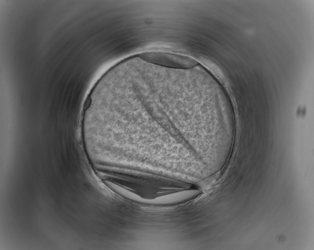 X0000099471296200805301548