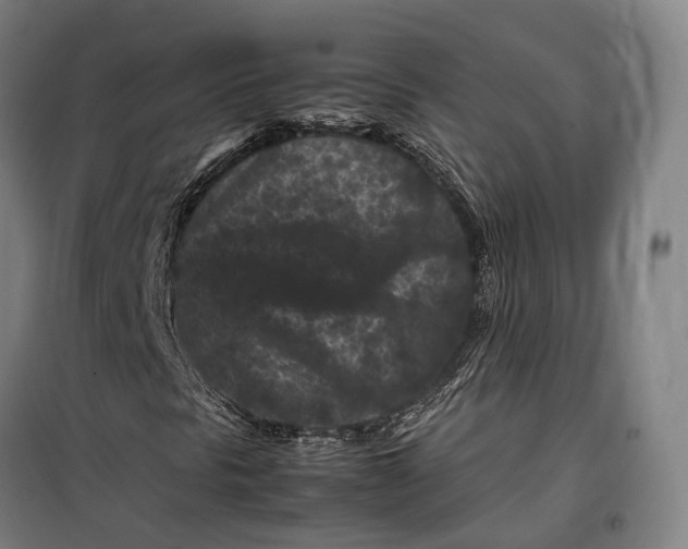 X0000099471297200805301547