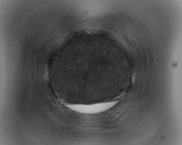 X0000099471298200805301547