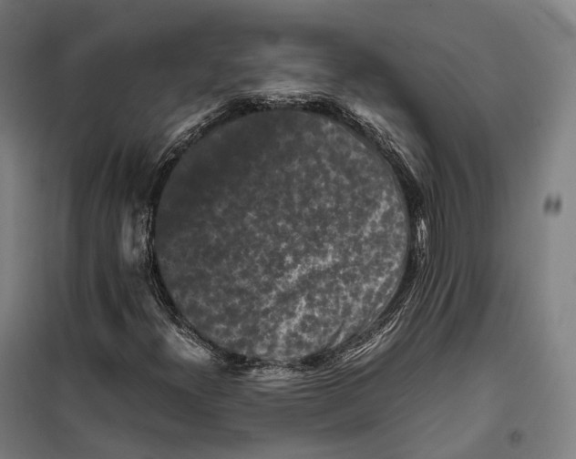 X0000099471300200805301547