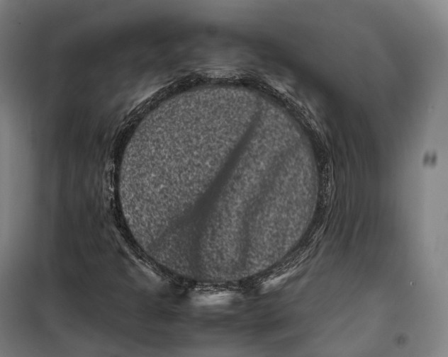 X0000099471301200805301547