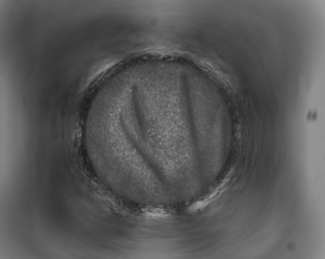 X0000099471302200805301547