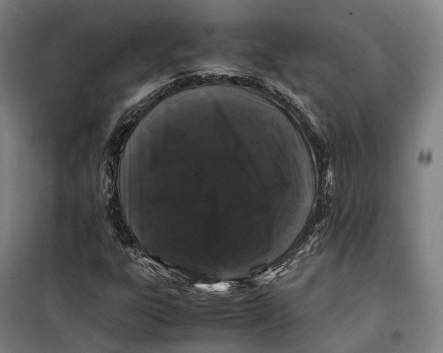 X0000099471303200805301547