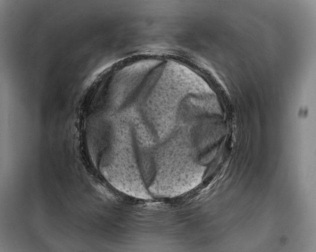 X0000099471304200805301547