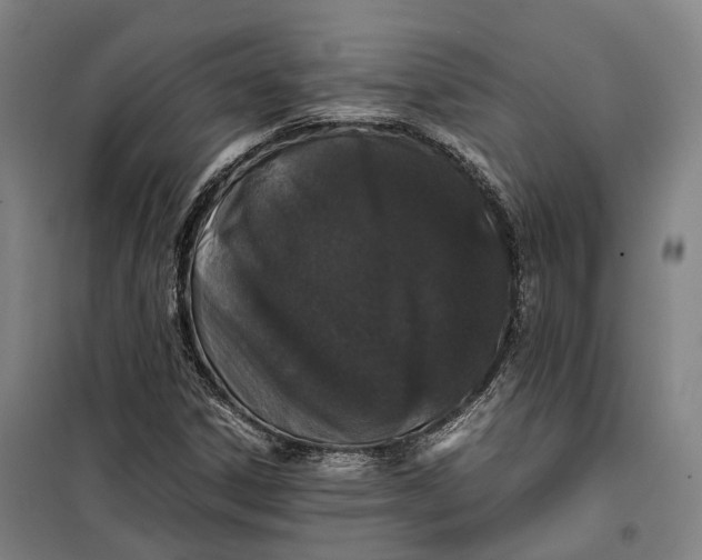 X0000099471306200805301547