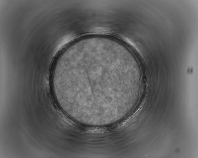 X0000099471307200805301547