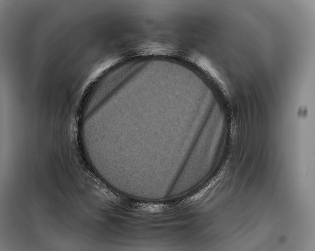 X0000099471309200805301547