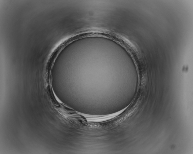 X0000099471310200805301547