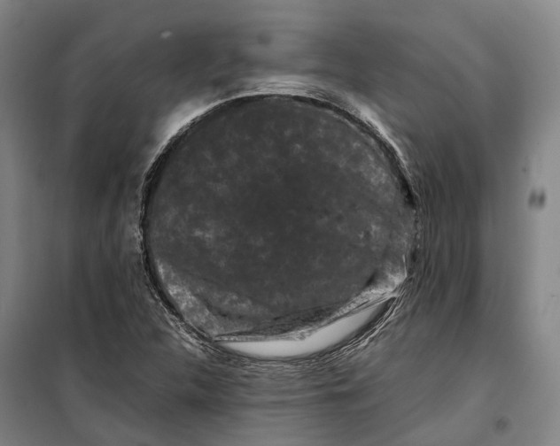 X0000099471312200805301547