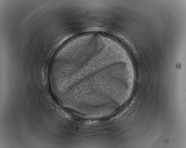 X0000099471313200805301547