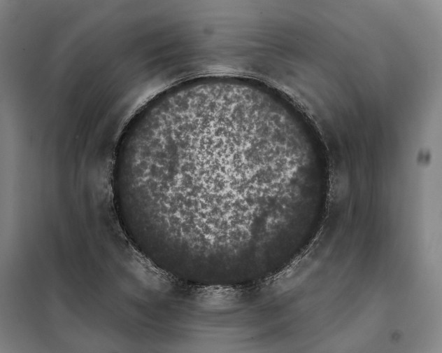 X0000099471314200805301547