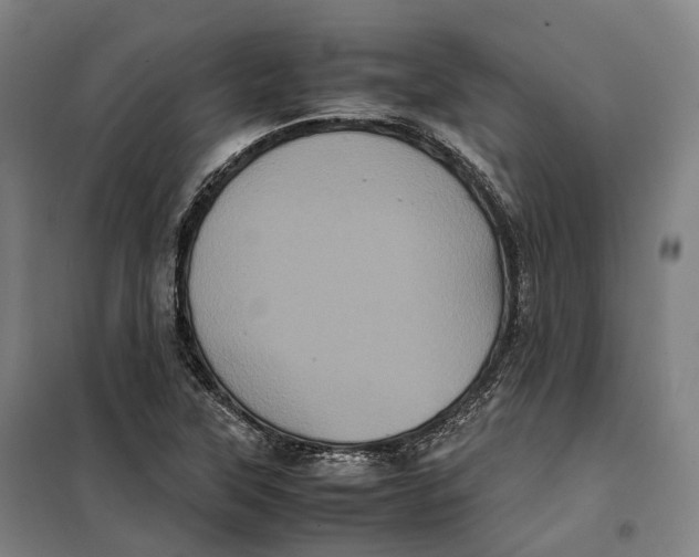 X0000099471315200805301547