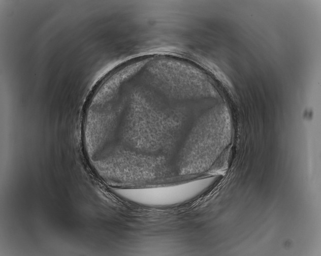 X0000099471316200805301547