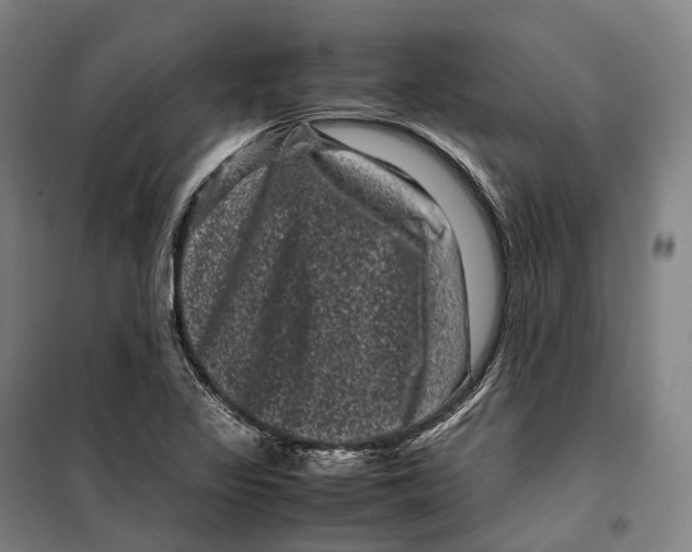 X0000099471317200805301547