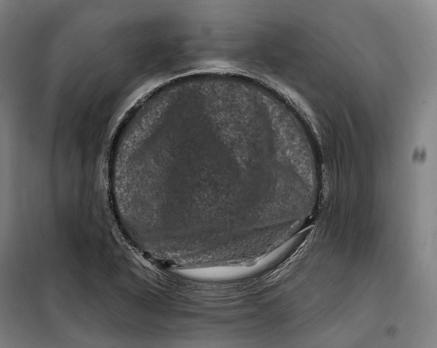 X0000099471318200805301547