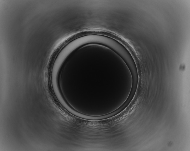 X0000099471319200805301547