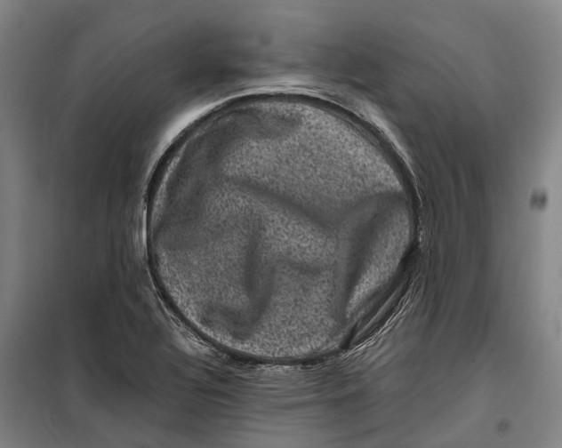 X0000099471320200805301547