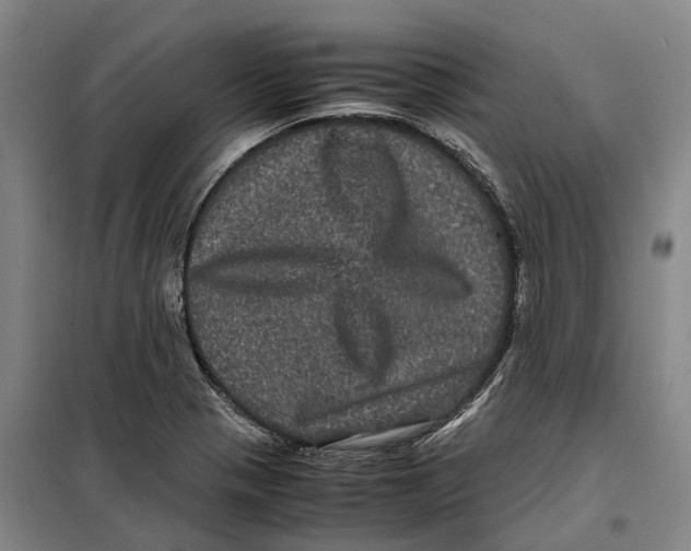 X0000099471321200805301547