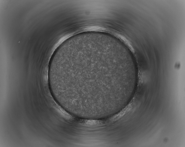 X0000099471322200805301547