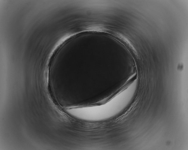 X0000099471323200805301547