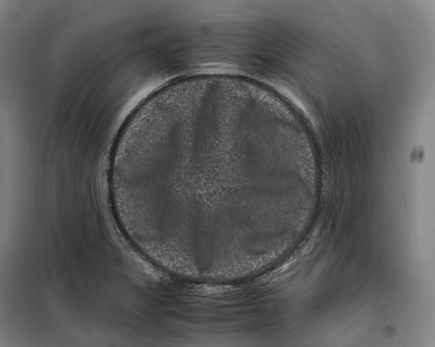 X0000099471325200805301547