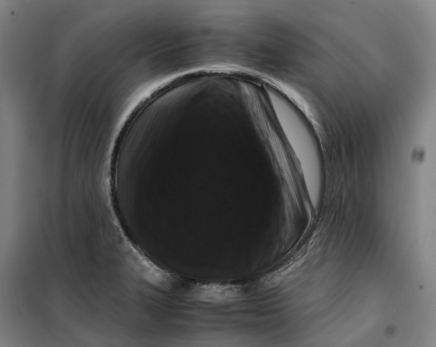 X0000099471327200805301547